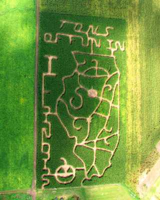 Ackerman Corn Maze, 2008